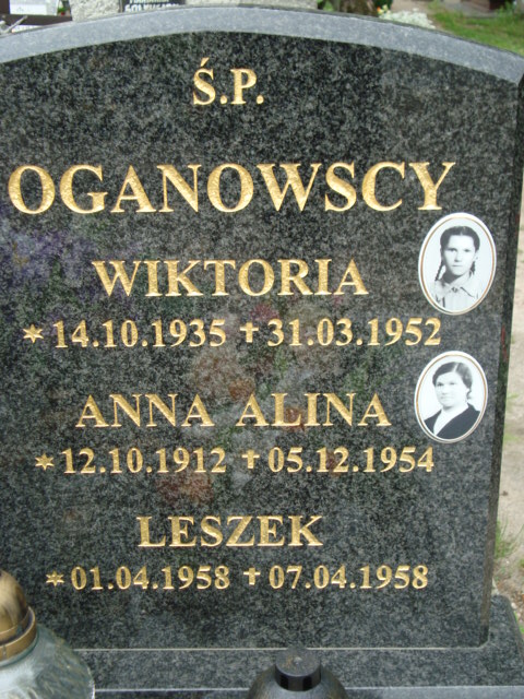 Alina Oganowska 1912 Elbląg - Grobonet - Wyszukiwarka osób pochowanych