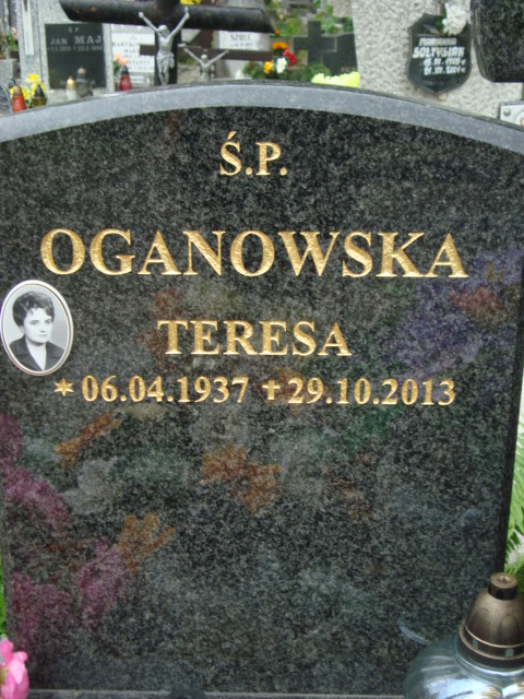 Zbigniew Oganowski  1931 Elbląg - Grobonet - Wyszukiwarka osób pochowanych