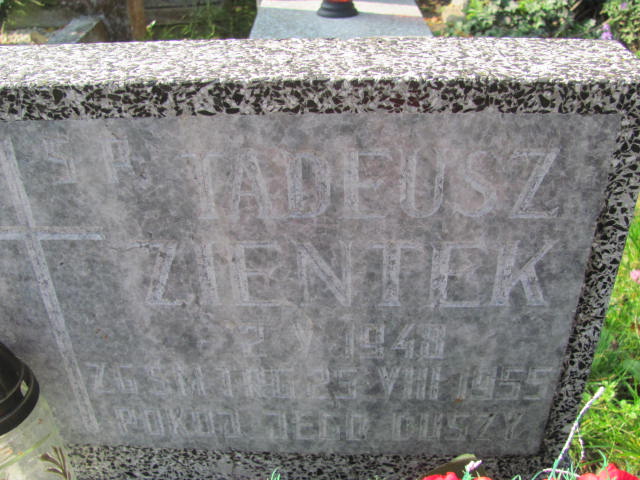 Tadeusz Zientek 1948 Elbląg - Grobonet - Wyszukiwarka osób pochowanych