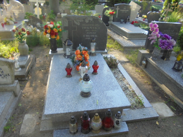Grób Władysława Iwańska