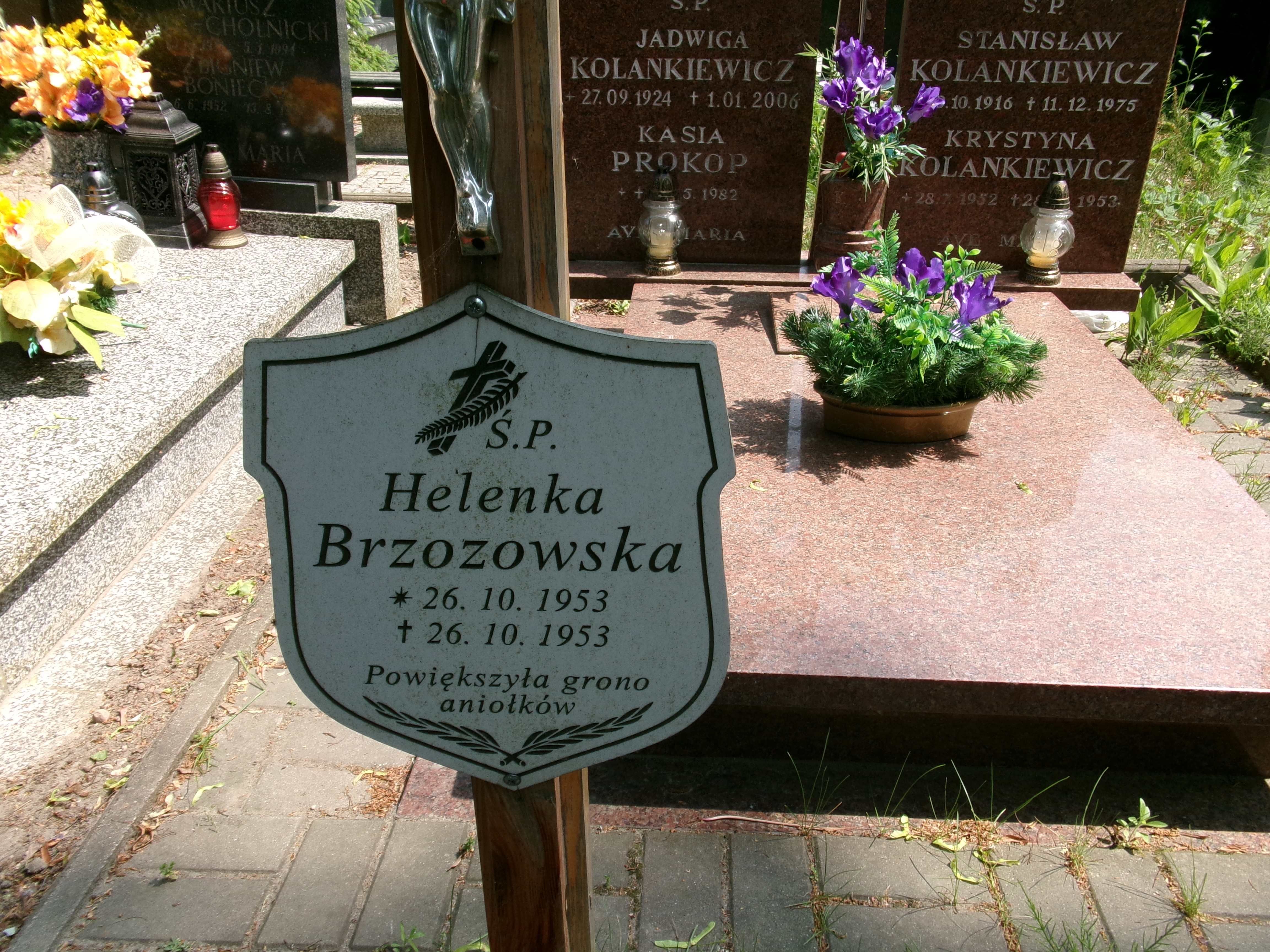 Helena Brzozowska 1953 Elbląg - Grobonet - Wyszukiwarka osób pochowanych