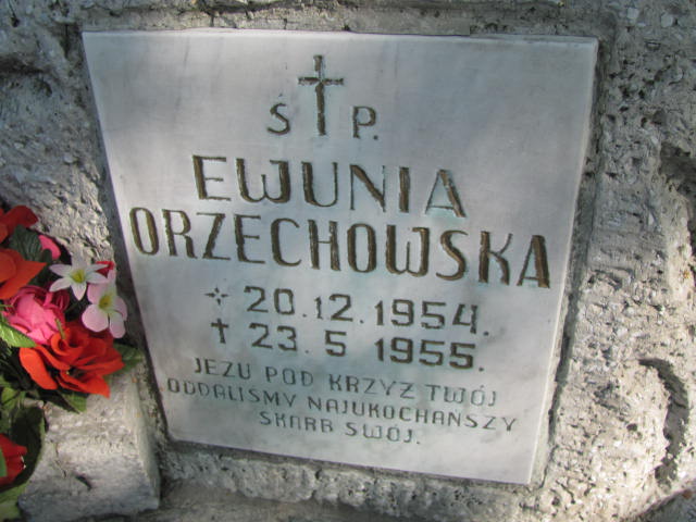 Ewa Agnieszka Orzechowska 1954 Elbląg - Grobonet - Wyszukiwarka osób pochowanych