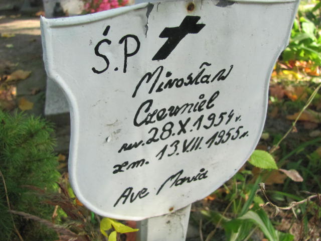 Mirosław Czerniel 1954 Elbląg - Grobonet - Wyszukiwarka osób pochowanych