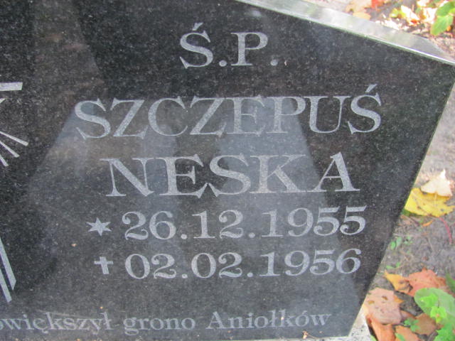 Szczepan Neska 1955 Elbląg - Grobonet - Wyszukiwarka osób pochowanych