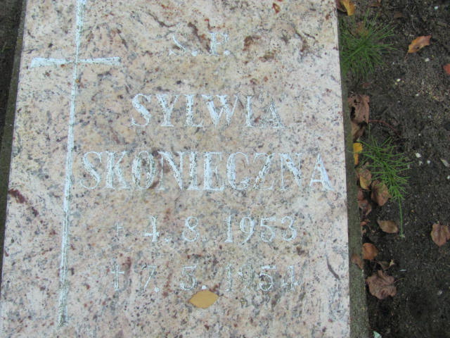 Sylwia Skonieczna 1953 Elbląg - Grobonet - Wyszukiwarka osób pochowanych