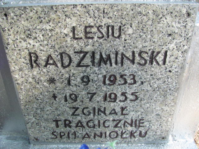 Lech Radzimiński 1953 Elbląg - Grobonet - Wyszukiwarka osób pochowanych