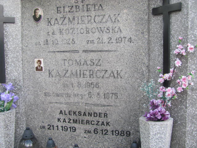 Aleksander Kaźmierczak 1919 Elbląg - Grobonet - Wyszukiwarka osób pochowanych