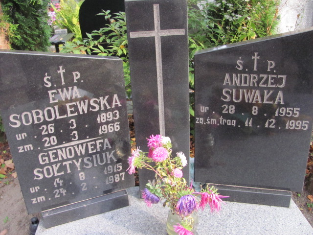 Ewa Sobolewska 1893 Elbląg - Grobonet - Wyszukiwarka osób pochowanych