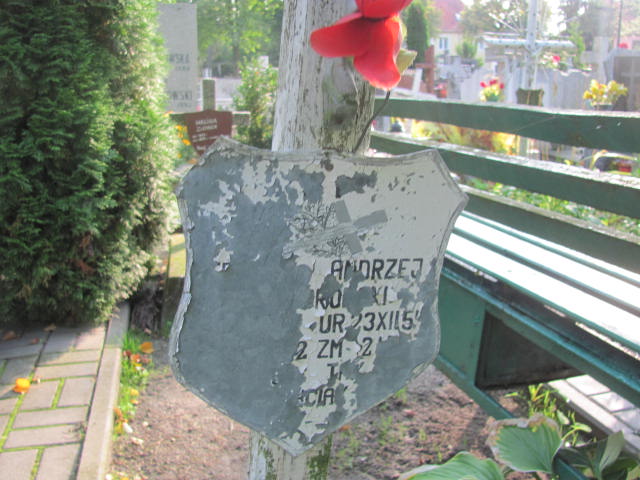 Andrzej Sznajdrowski 1954 Elbląg - Grobonet - Wyszukiwarka osób pochowanych