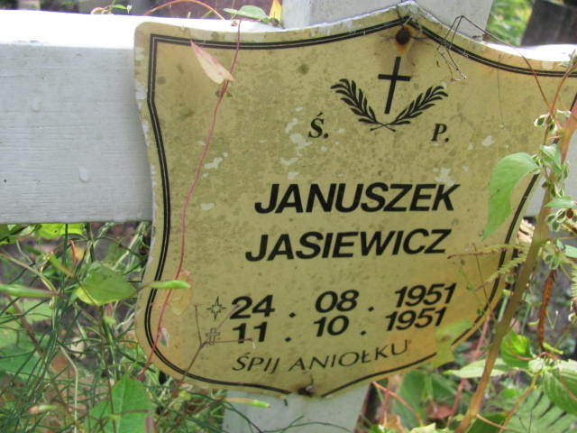 Janusz Jasiewicz 1951 Elbląg - Grobonet - Wyszukiwarka osób pochowanych