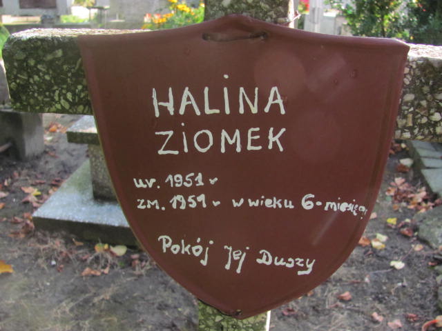 Halina Ziomek 1951 Elbląg - Grobonet - Wyszukiwarka osób pochowanych