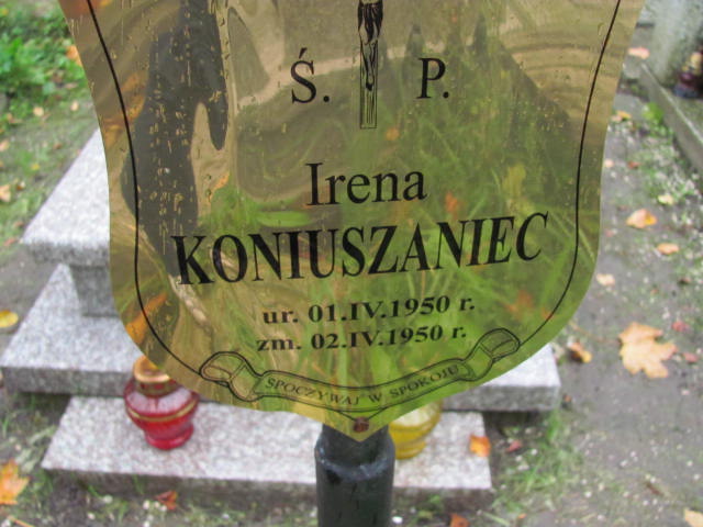 Irena Koniuszaniec 1950 Elbląg - Grobonet - Wyszukiwarka osób pochowanych