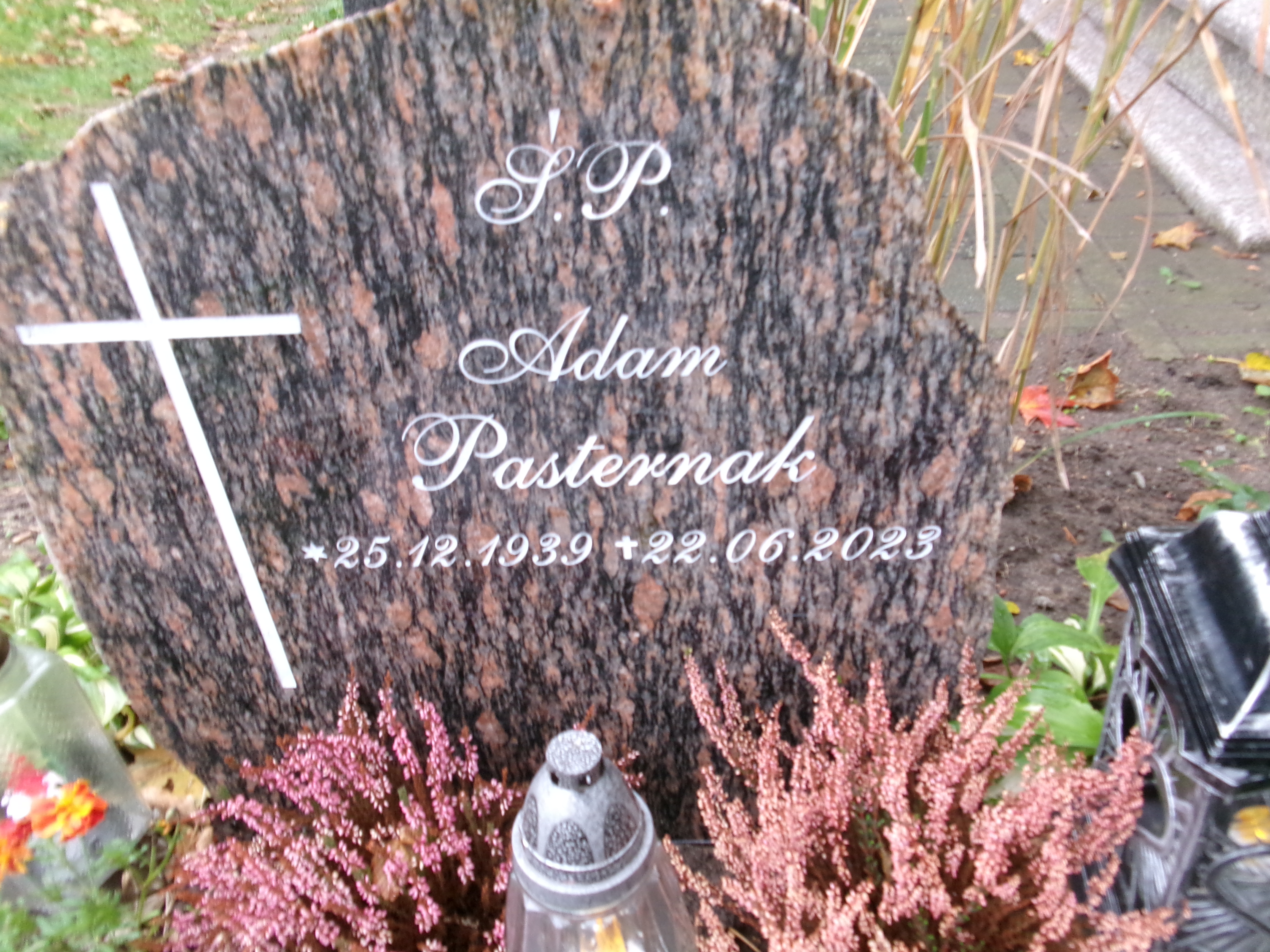 Adam Pasternak 1939 Elbląg - Grobonet - Wyszukiwarka osób pochowanych