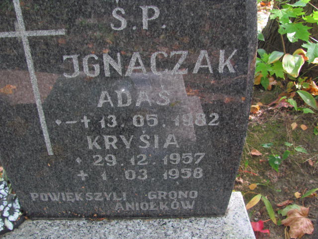Adam Ignaczak 1982 Elbląg - Grobonet - Wyszukiwarka osób pochowanych