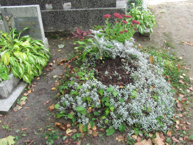 Jerzy Danielak 1956 Elbląg - Grobonet - Wyszukiwarka osób pochowanych