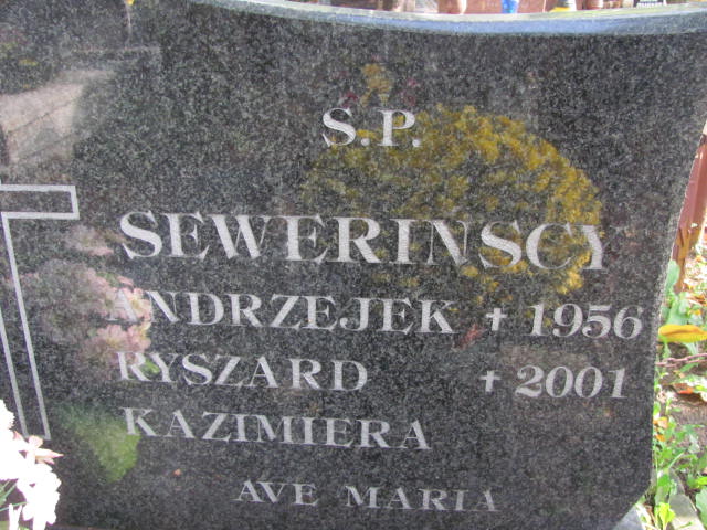 Andrzej Seweriński 1955 Elbląg - Grobonet - Wyszukiwarka osób pochowanych