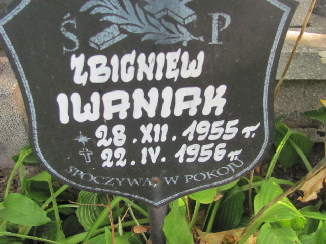 Zbigniew Iwaniak 1955 Elbląg - Grobonet - Wyszukiwarka osób pochowanych