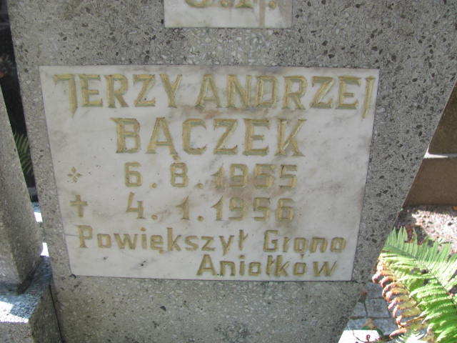 Jerzy Andrzej Bączek 1955 Elbląg - Grobonet - Wyszukiwarka osób pochowanych