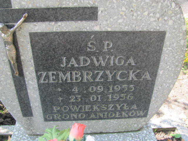 Jadwiga Zembrzycka 1955 Elbląg - Grobonet - Wyszukiwarka osób pochowanych