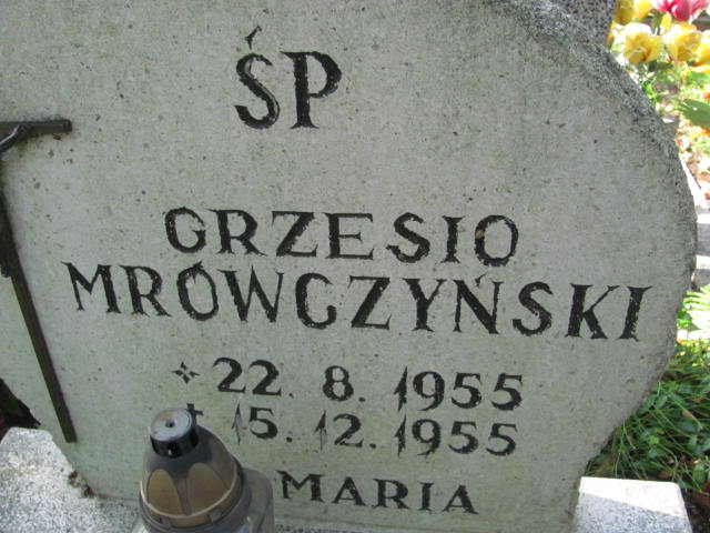 Grzegorz Mrówczyński 1955 Elbląg - Grobonet - Wyszukiwarka osób pochowanych