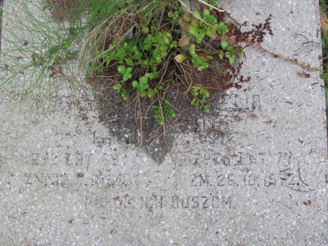 Mikołaj Laszczyk 1888 Elbląg - Grobonet - Wyszukiwarka osób pochowanych