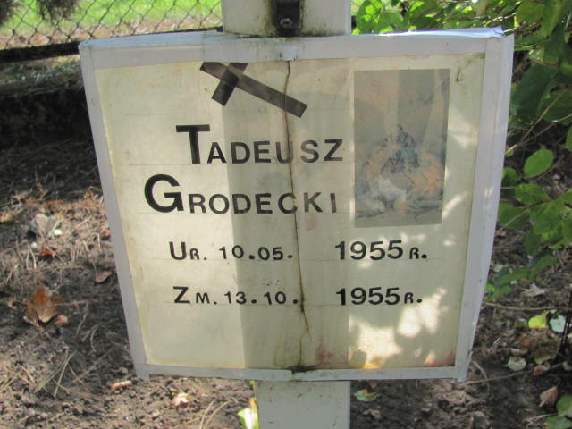 Tadeusz Grodecki 1955 Elbląg - Grobonet - Wyszukiwarka osób pochowanych