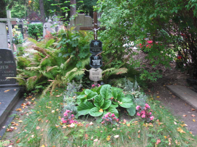 Grób Aleksandra Perka