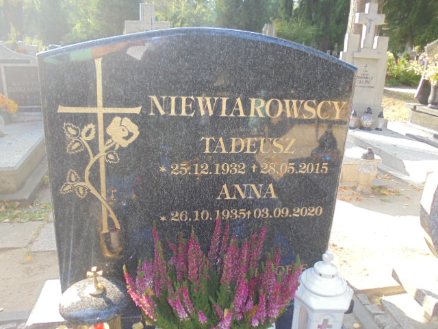 Tadeusz Niewiarowski 1932 Elbląg - Grobonet - Wyszukiwarka osób pochowanych