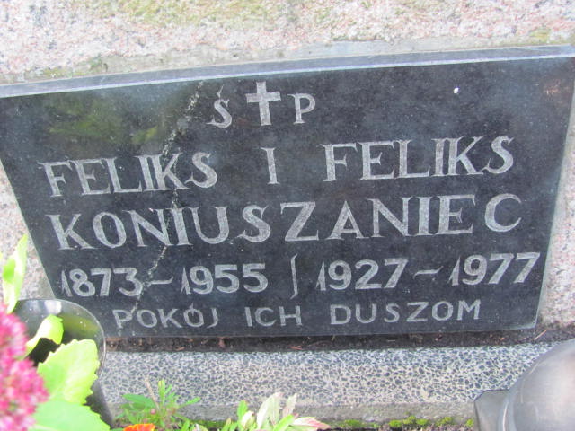 Feliks Koniuszaniec 1873 Elbląg - Grobonet - Wyszukiwarka osób pochowanych