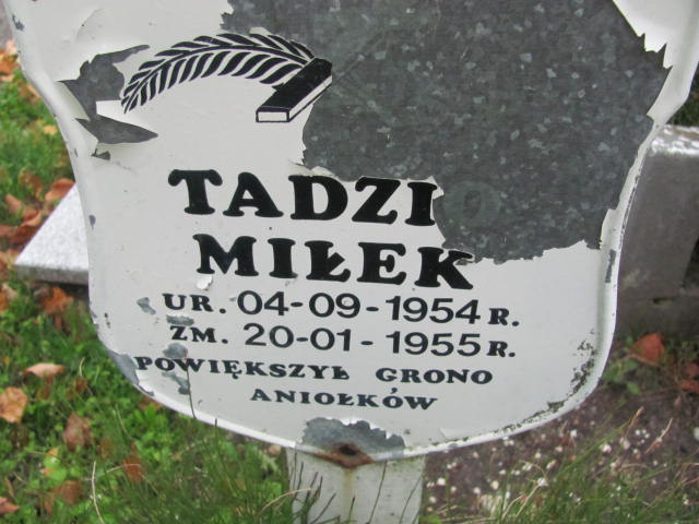 Tadeusz Miłek 1954 Elbląg - Grobonet - Wyszukiwarka osób pochowanych