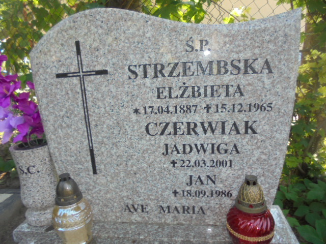 Elżbieta Strzembska 1887 Elbląg - Grobonet - Wyszukiwarka osób pochowanych