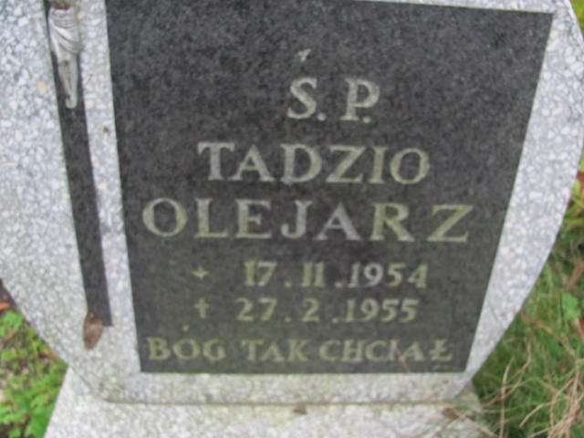 Tadeusz Olejarz 1954 Elbląg - Grobonet - Wyszukiwarka osób pochowanych