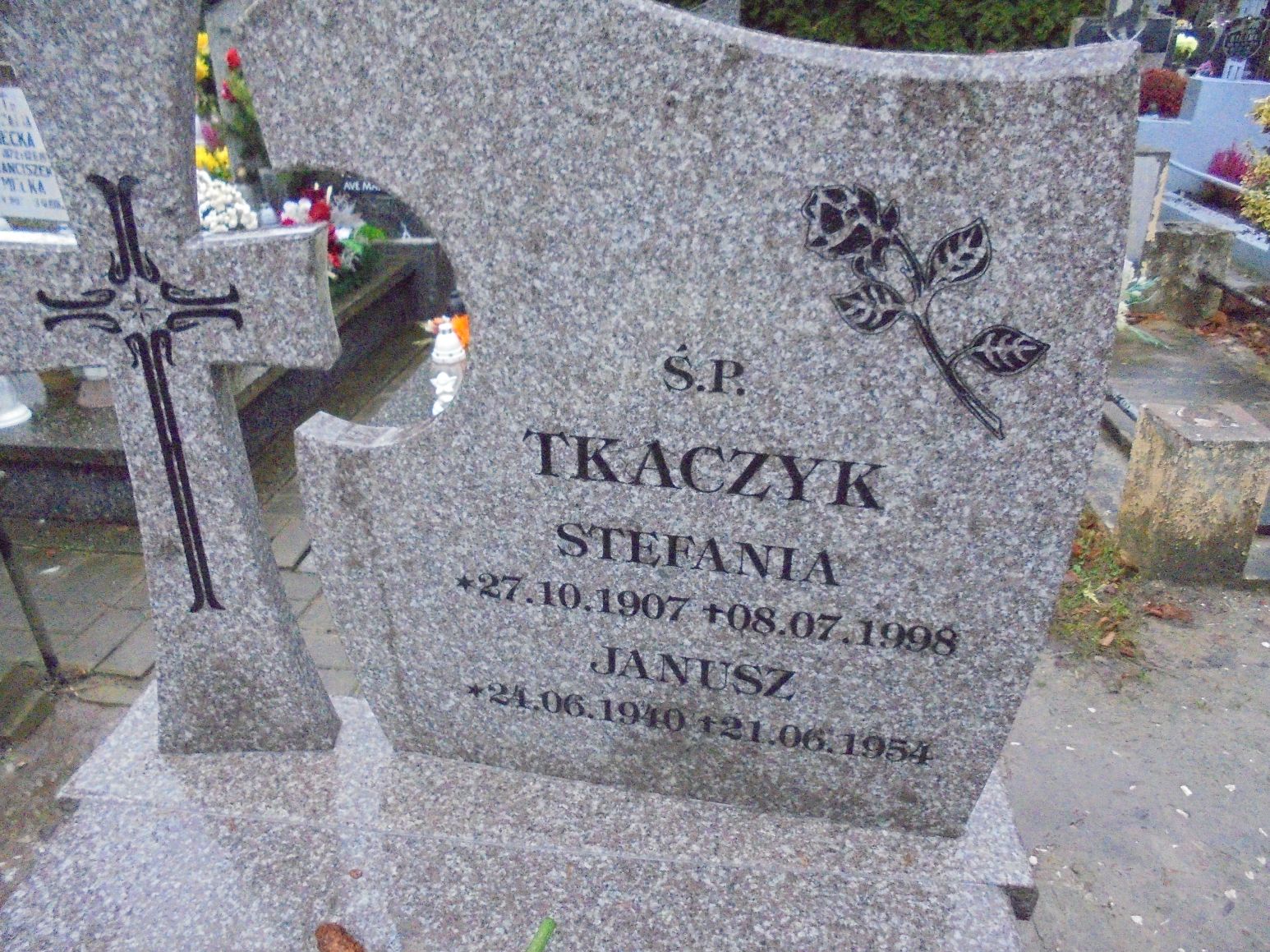 Janusz Tkaczyk 1940 Elbląg - Grobonet - Wyszukiwarka osób pochowanych