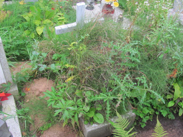 Józef Sumeradzki 1954 Elbląg - Grobonet - Wyszukiwarka osób pochowanych