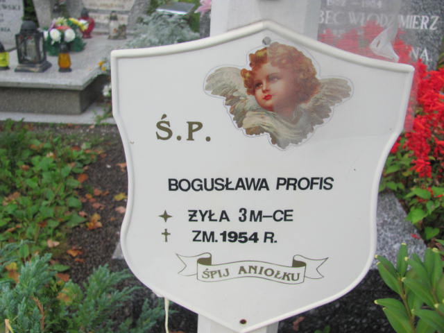 Bogusława Profis 1954 Elbląg - Grobonet - Wyszukiwarka osób pochowanych