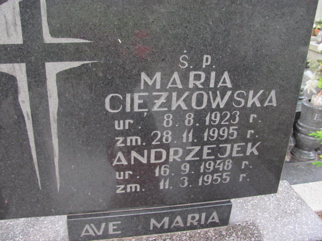 Andrzej Ciężkowski 1948 Elbląg - Grobonet - Wyszukiwarka osób pochowanych