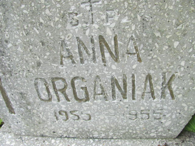 Anna Organiak 1955 Elbląg - Grobonet - Wyszukiwarka osób pochowanych