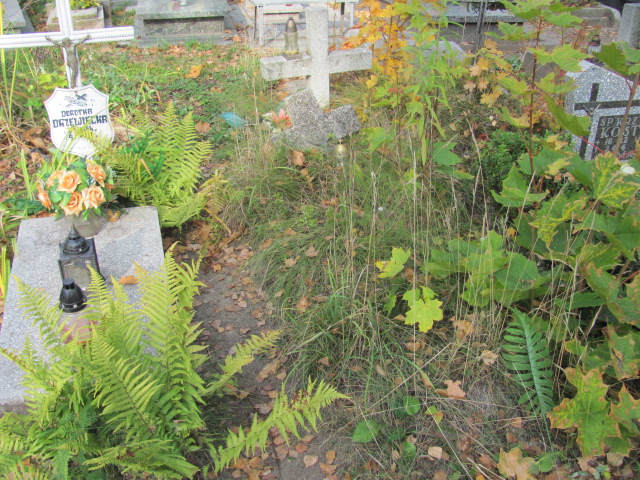 Grób Andrzej Piórkowski