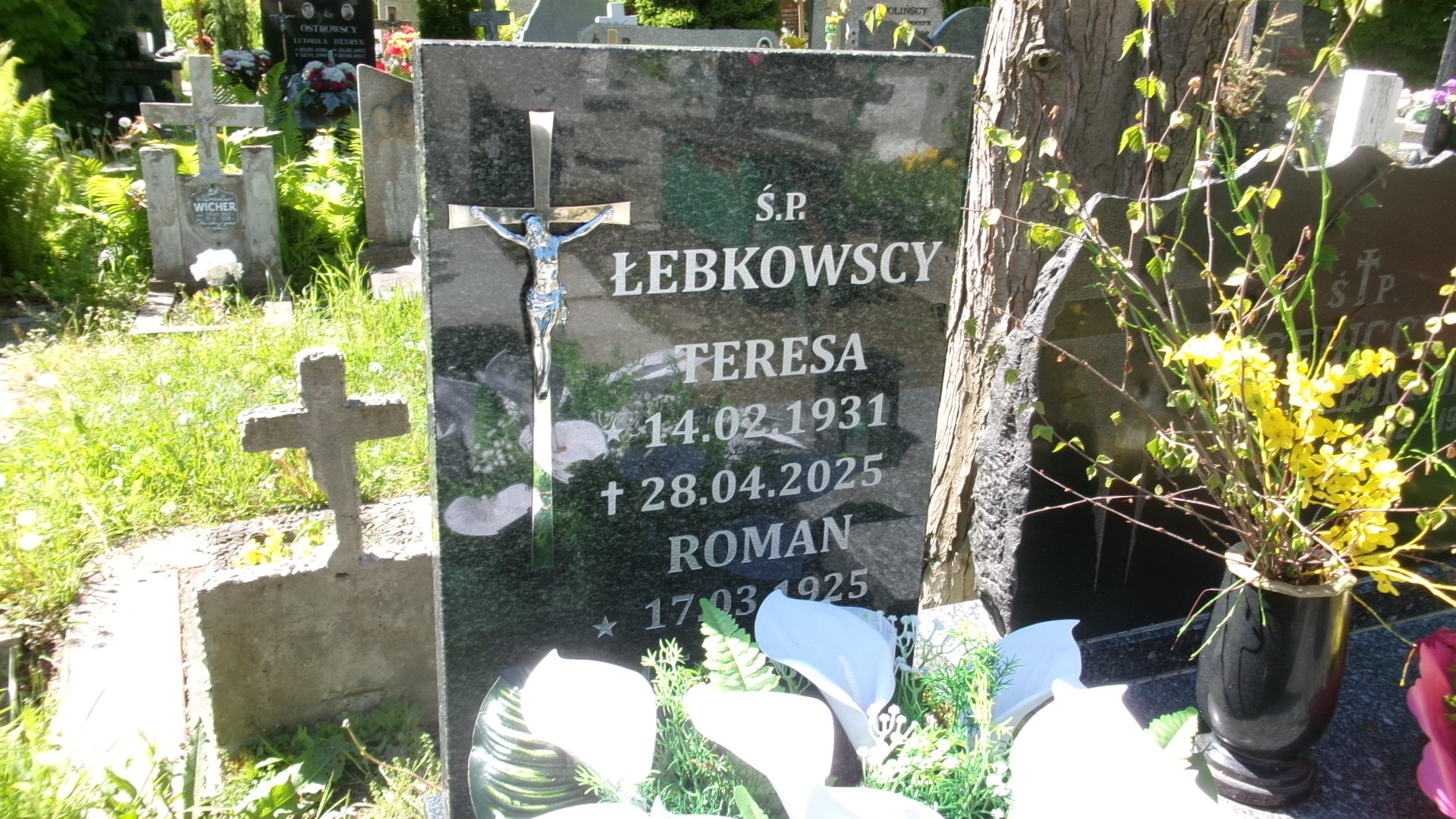 Roman  Józef Łebkowski 1925 Elbląg - Grobonet - Wyszukiwarka osób pochowanych