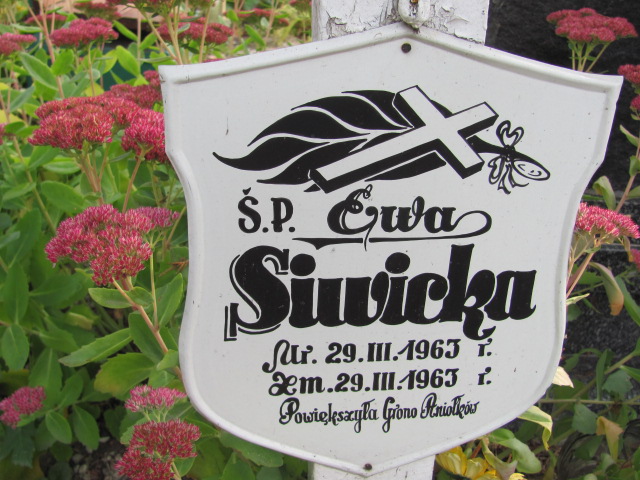 Ewa Siwicka 1963 Elbląg - Grobonet - Wyszukiwarka osób pochowanych