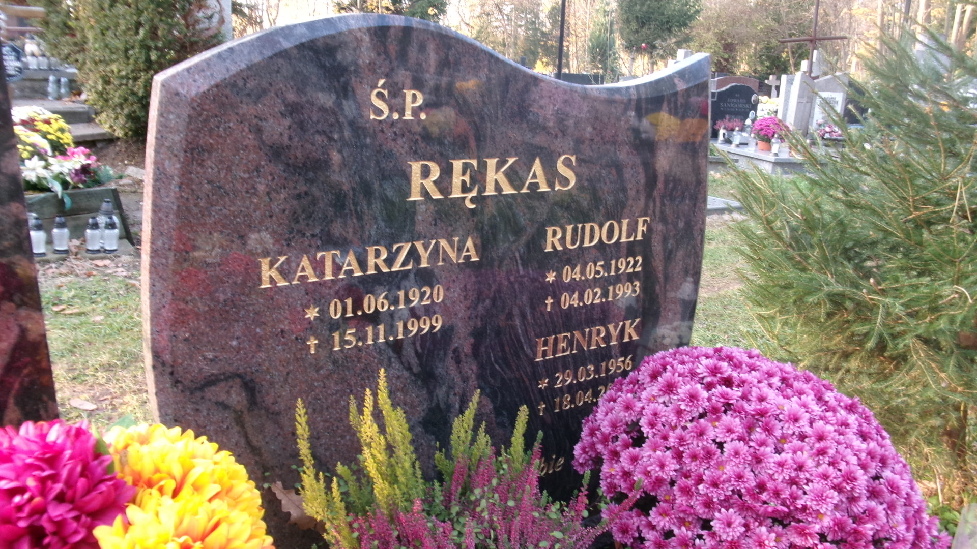 Ewa Rękas 1973 Elbląg - Grobonet - Wyszukiwarka osób pochowanych