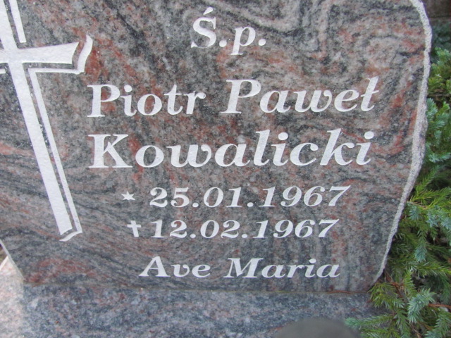 Piotr Paweł Kowalicki 1967 Elbląg - Grobonet - Wyszukiwarka osób pochowanych