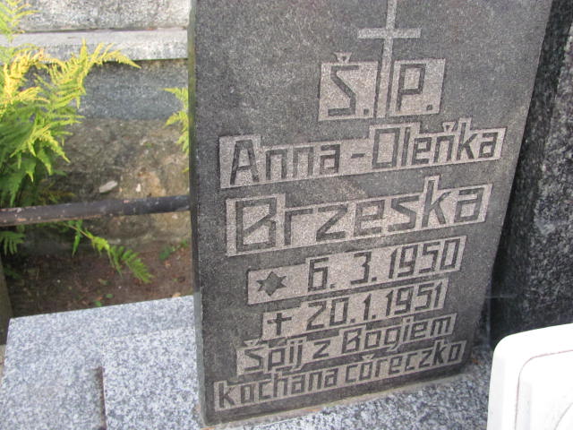 Alla Aleksandra Brzeska 1950 Elbląg - Grobonet - Wyszukiwarka osób pochowanych