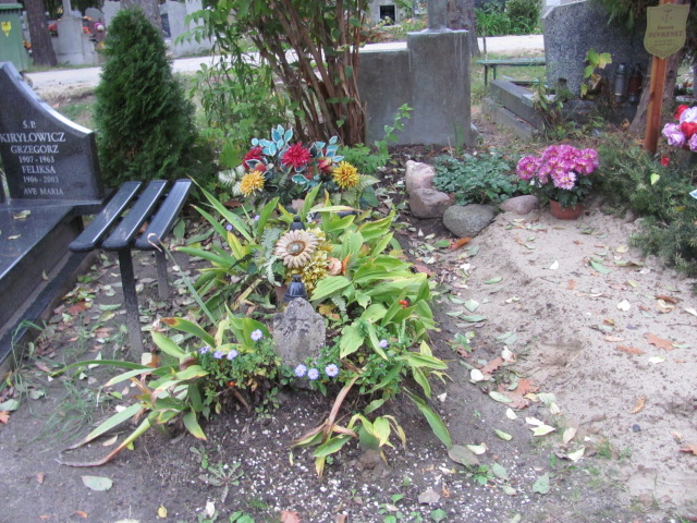 Grób Bronisława Graczyk
