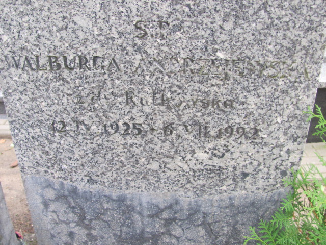 Alfons Andrzejewski 1908 Elbląg - Grobonet - Wyszukiwarka osób pochowanych