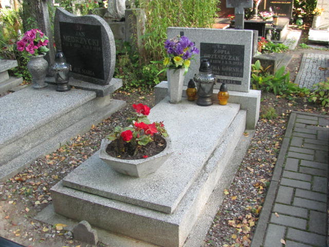 Grób Jadwiga Górska