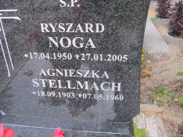 Ryszard Noga 1950 Elbląg - Grobonet - Wyszukiwarka osób pochowanych