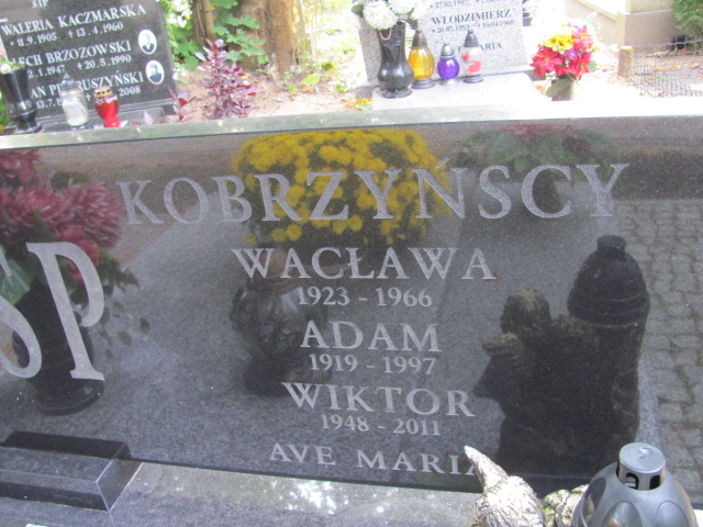 Adam Kobrzyński 1919 Elbląg - Grobonet - Wyszukiwarka osób pochowanych