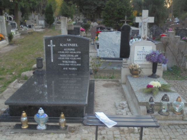 Grób Alfons Kaciniel