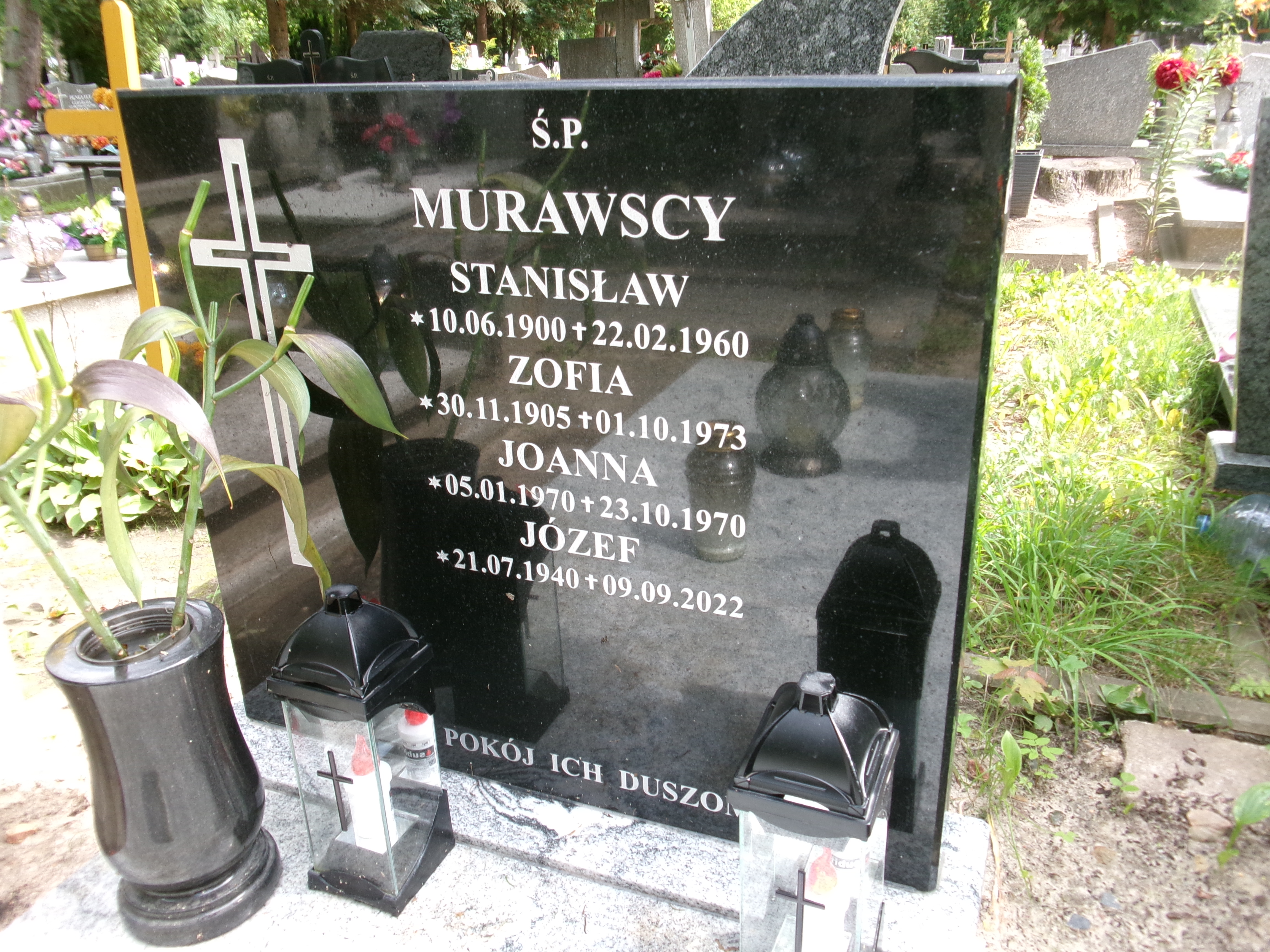 Zofia Murawska 1905 Elbląg - Grobonet - Wyszukiwarka osób pochowanych